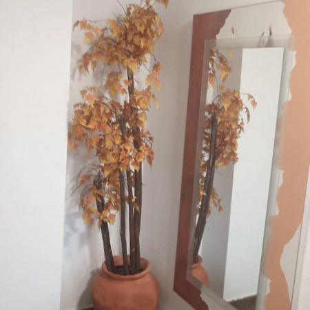 Apartamento Gloria Patricia ألكانتاريّا المظهر الخارجي الصورة