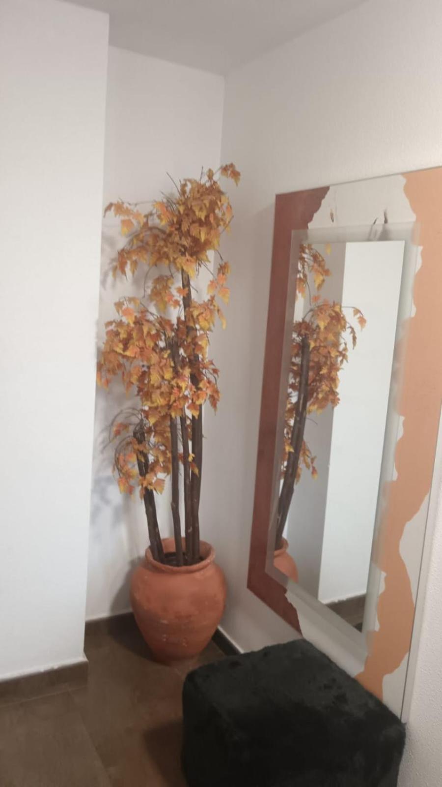 Apartamento Gloria Patricia ألكانتاريّا المظهر الخارجي الصورة